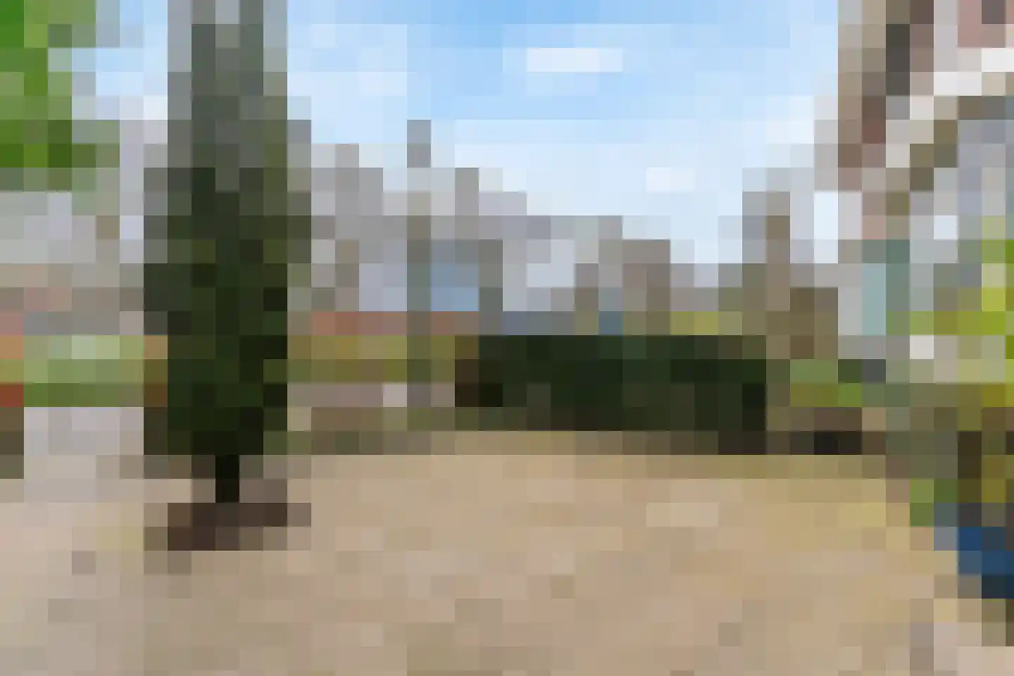Hoge Rijndijk 219 Leiden thumbnail 6