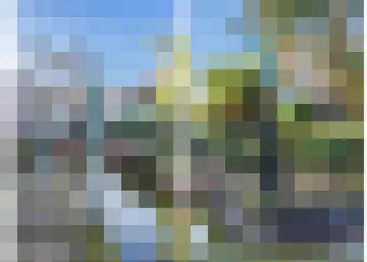 Hoge Rijndijk 237 Leiden thumbnail 25