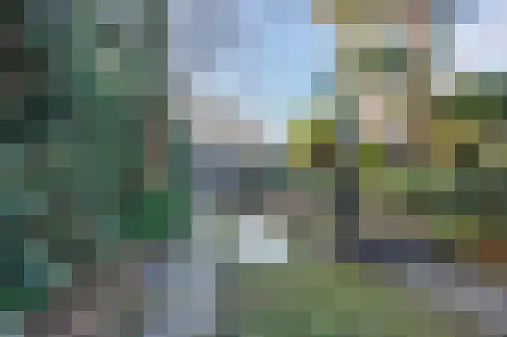 Hoge Rijndijk 237 Leiden thumbnail 28