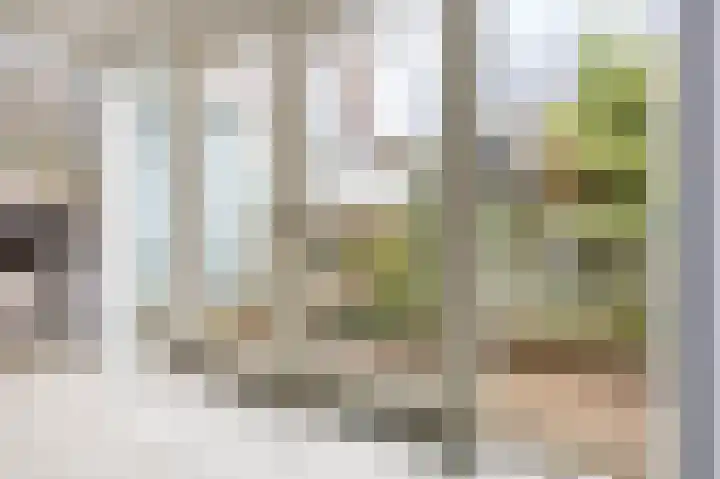 Hoge Rijndijk 237 Leiden thumbnail 31