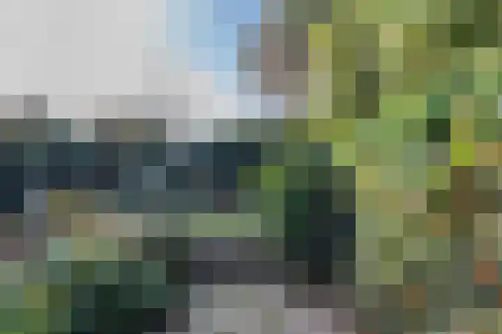Hoge Rijndijk 237 Leiden thumbnail 43