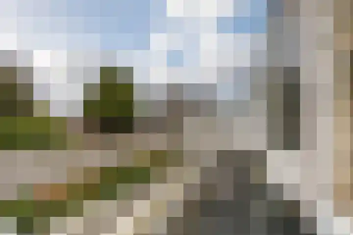 Hoge Rijndijk 237 Leiden thumbnail 55