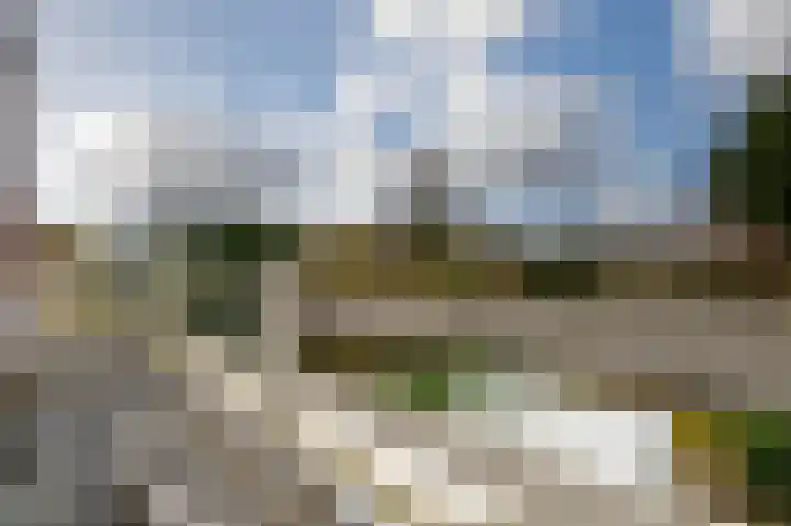 Hoge Rijndijk 237 Leiden thumbnail 56