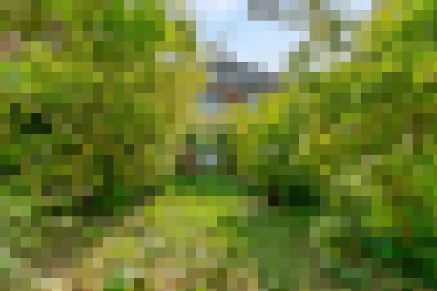 Hoge Rijndijk 255 Leiden thumbnail 4