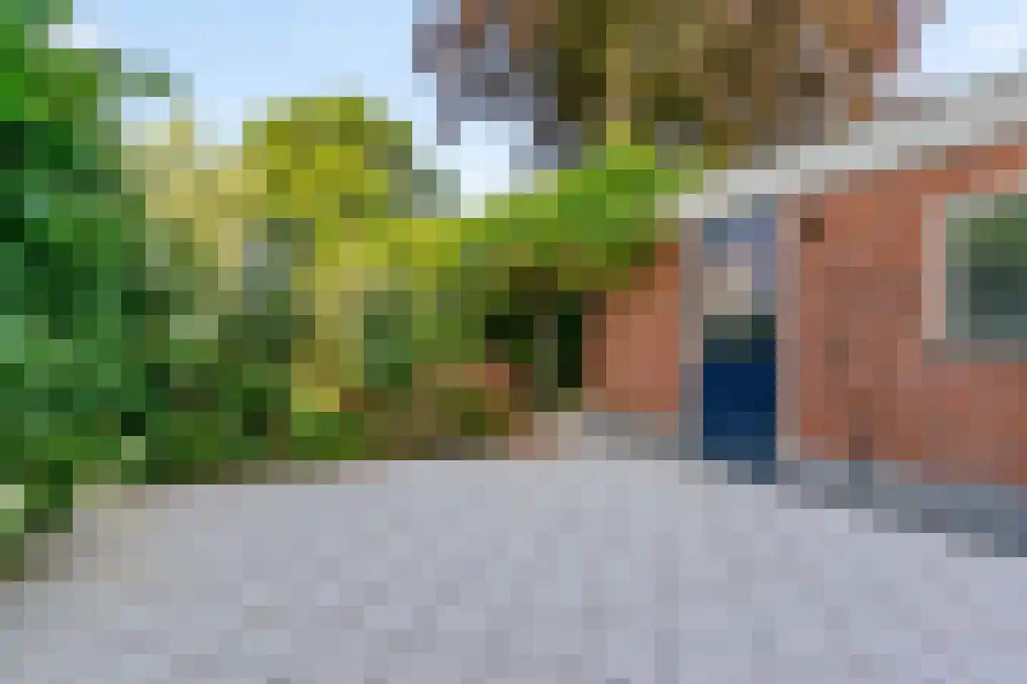 Hoge Rijndijk 255 Leiden thumbnail 41