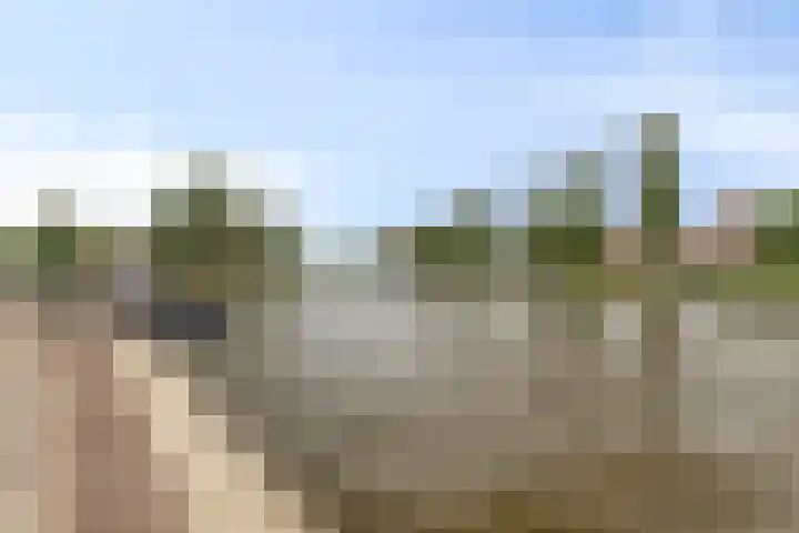 Hoge Rijndijk 276 Leiden thumbnail 38