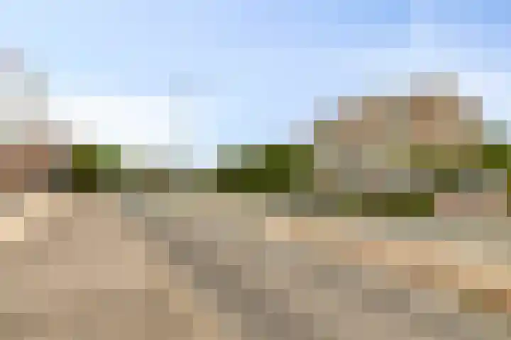 Hoge Rijndijk 276 Leiden thumbnail 4