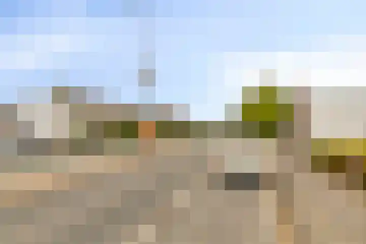Hoge Rijndijk 276 Leiden thumbnail 5