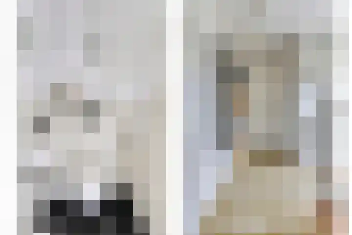 Hoge Rijndijk 28 Zoeterwoude thumbnail 12