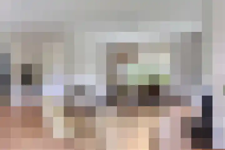 Hoge Rijndijk 28 Zoeterwoude thumbnail 14