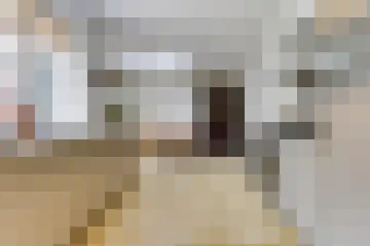 Hoge Rijndijk 28 Zoeterwoude thumbnail 18