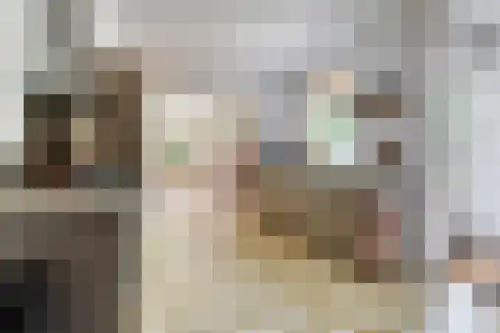 Hoge Rijndijk 28 Zoeterwoude thumbnail 19