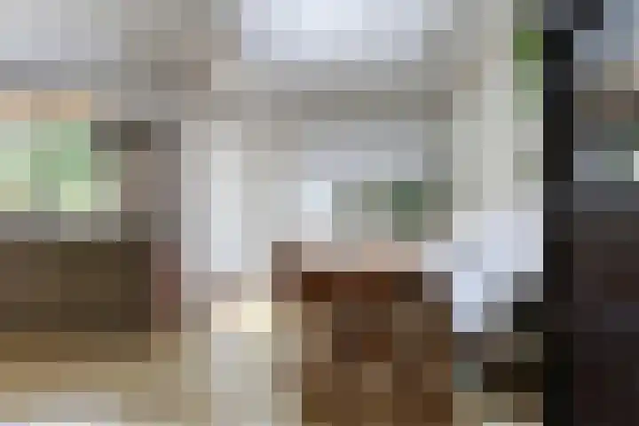 Hoge Rijndijk 28 Zoeterwoude thumbnail 21