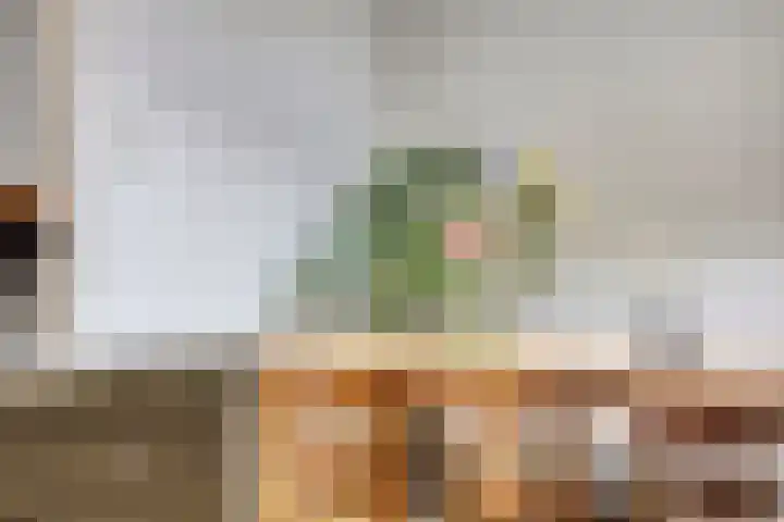 Hoge Rijndijk 28 Zoeterwoude thumbnail 22