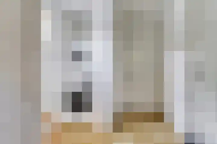 Hoge Rijndijk 28 Zoeterwoude thumbnail 23
