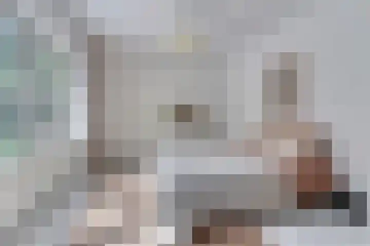 Hoge Rijndijk 28 Zoeterwoude thumbnail 26