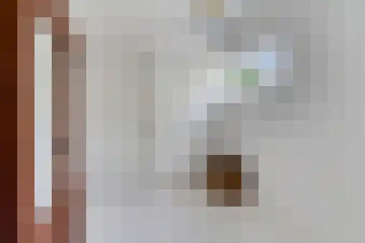 Hoge Rijndijk 28 Zoeterwoude thumbnail 29