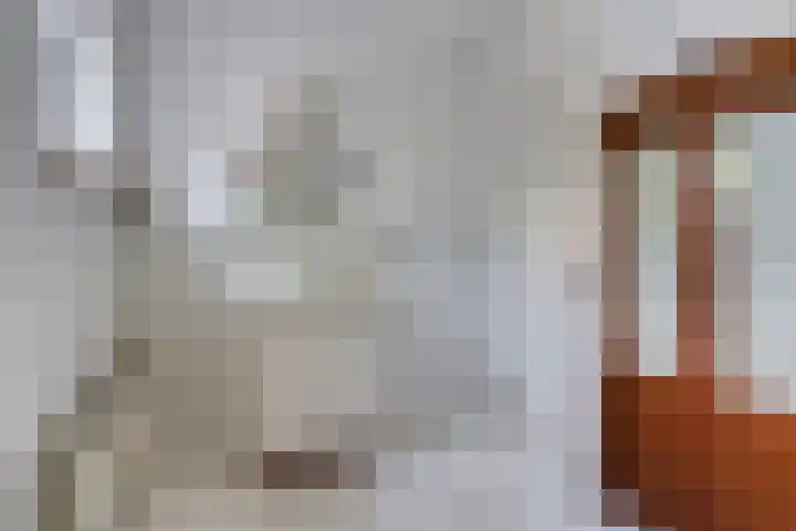 Hoge Rijndijk 28 Zoeterwoude thumbnail 30