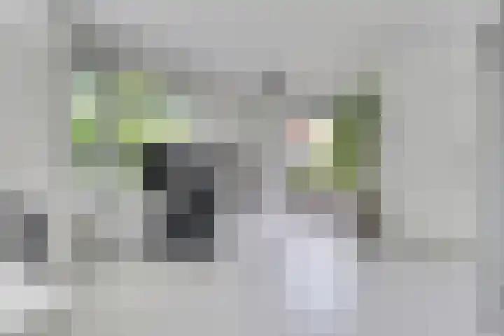 Hoge Rijndijk 28 Zoeterwoude thumbnail 31