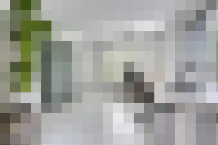 Hoge Rijndijk 28 Zoeterwoude thumbnail 32