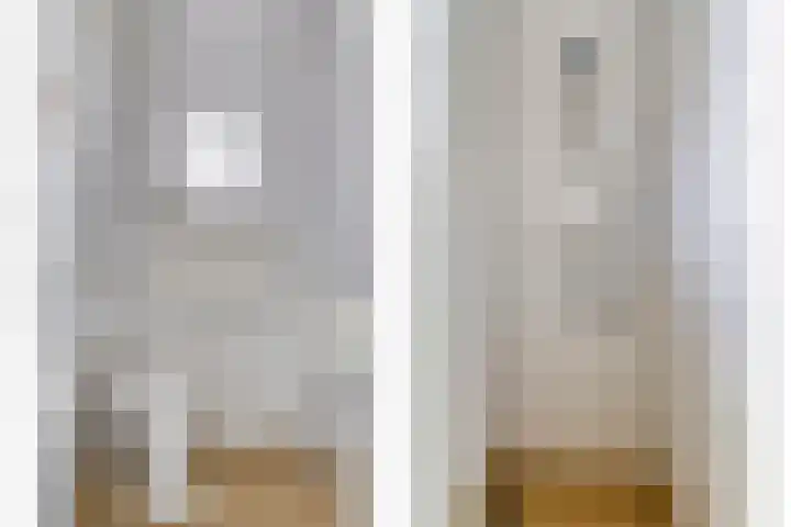 Hoge Rijndijk 28 Zoeterwoude thumbnail 33