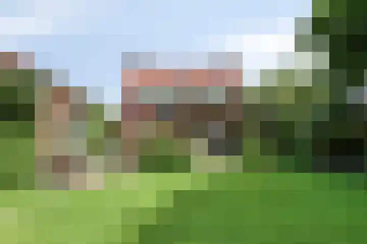 Hoge Rijndijk 28 Zoeterwoude thumbnail 39