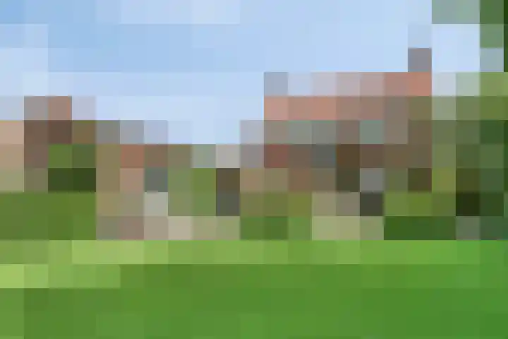 Hoge Rijndijk 28 Zoeterwoude thumbnail 40