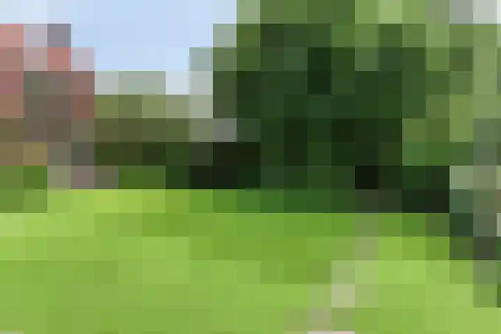 Hoge Rijndijk 28 Zoeterwoude thumbnail 41