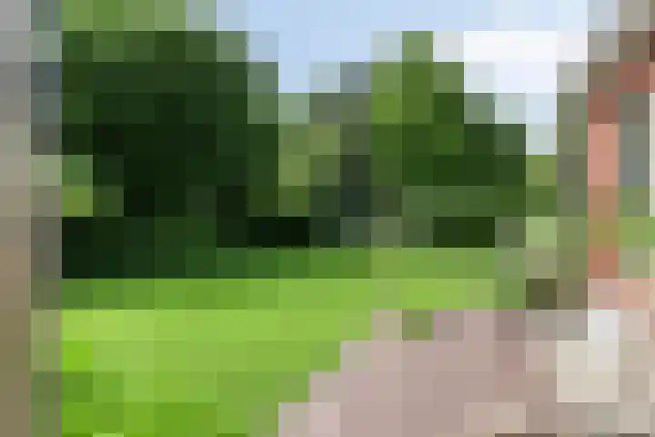 Hoge Rijndijk 28 Zoeterwoude thumbnail 42