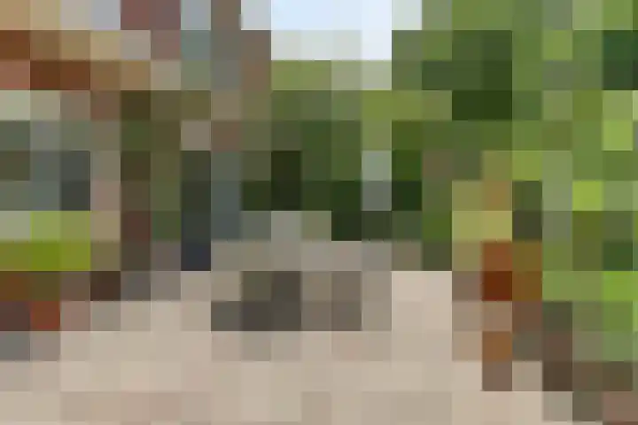 Hoge Rijndijk 28 Zoeterwoude thumbnail 43