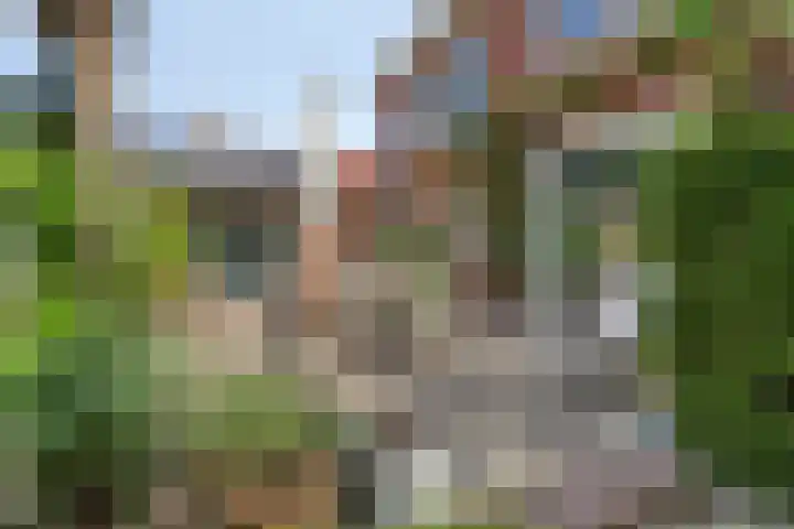 Hoge Rijndijk 28 Zoeterwoude thumbnail 44