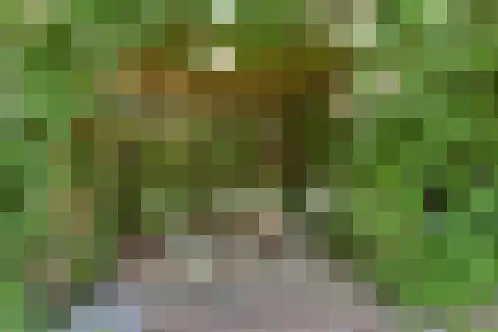 Hoge Rijndijk 28 Zoeterwoude thumbnail 45