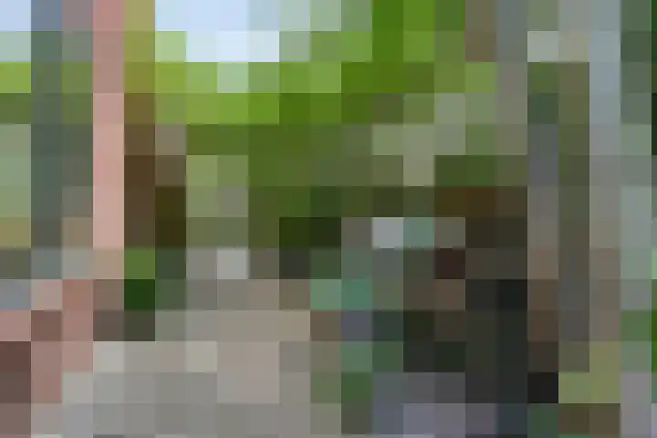 Hoge Rijndijk 28 Zoeterwoude thumbnail 46