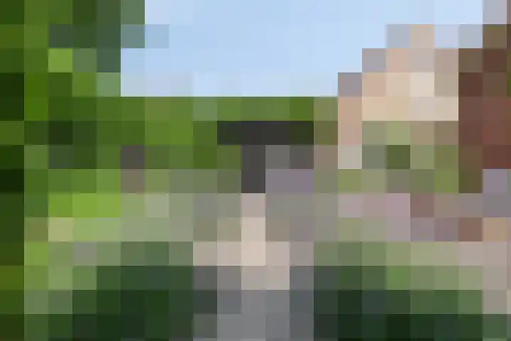 Hoge Rijndijk 28 Zoeterwoude thumbnail 47