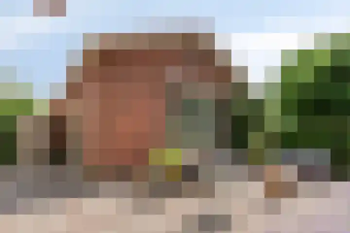 Hoge Rijndijk 28 Zoeterwoude thumbnail 49