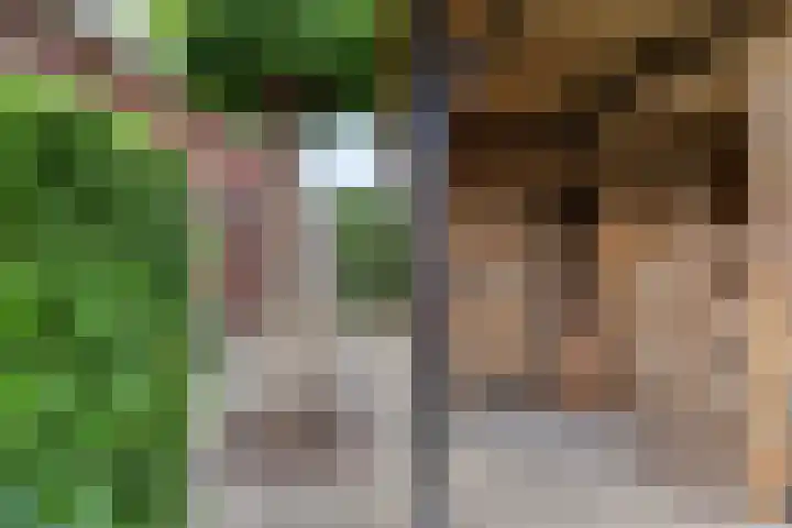 Hoge Rijndijk 28 Zoeterwoude thumbnail 53