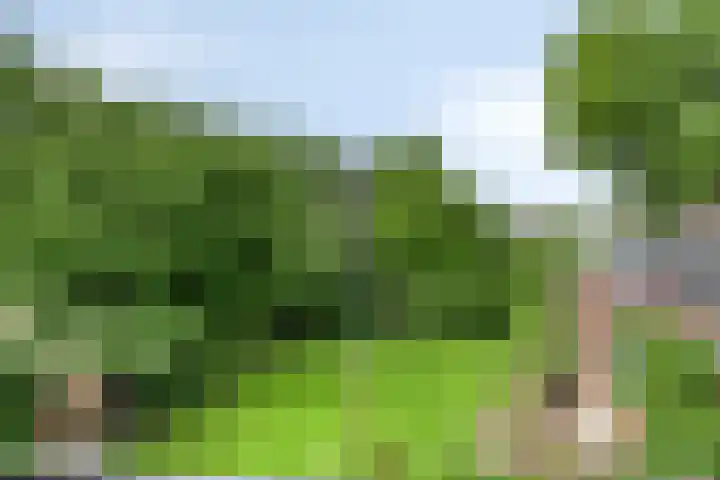 Hoge Rijndijk 28 Zoeterwoude thumbnail 55