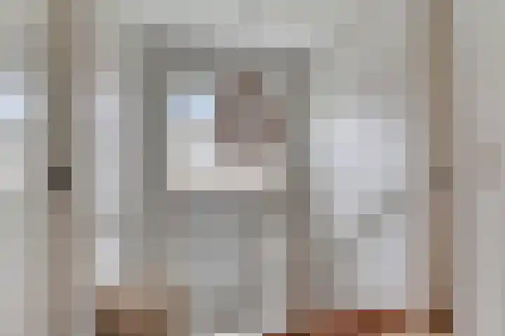 Hoge Rijndijk 28 Zoeterwoude thumbnail 57