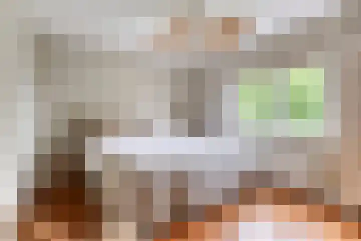 Hoge Rijndijk 28 Zoeterwoude thumbnail 59