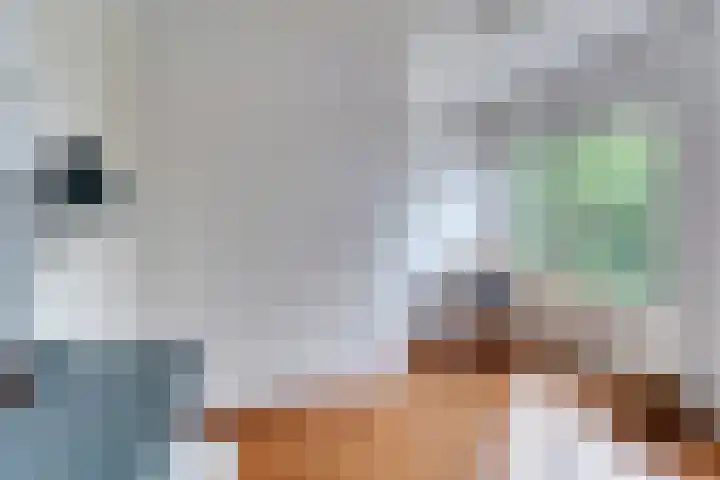 Hoge Rijndijk 28 Zoeterwoude thumbnail 64