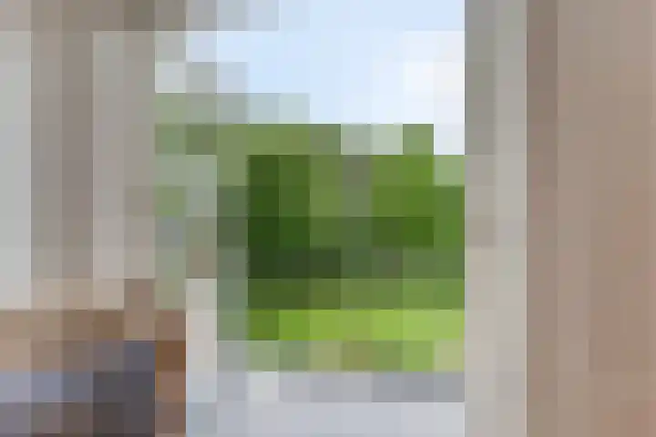 Hoge Rijndijk 28 Zoeterwoude thumbnail 65