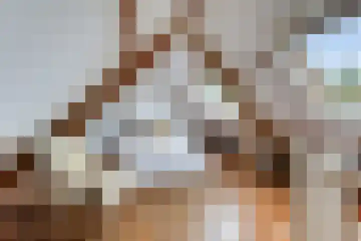 Hoge Rijndijk 28 Zoeterwoude thumbnail 68