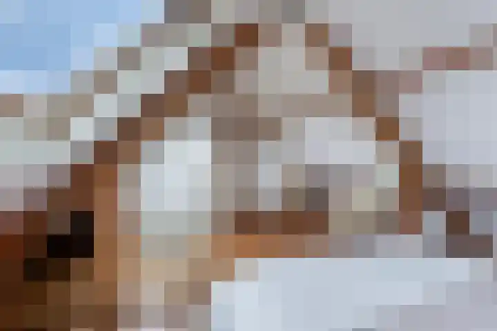 Hoge Rijndijk 28 Zoeterwoude thumbnail 69