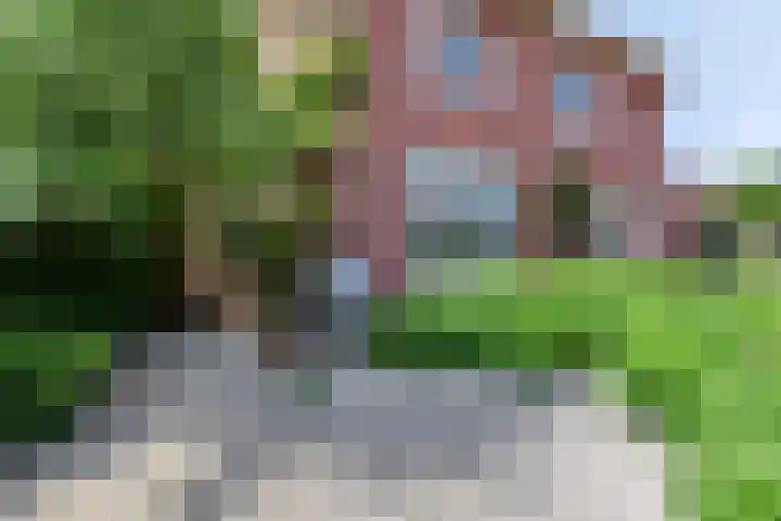 Hoge Rijndijk 28 Zoeterwoude thumbnail 7
