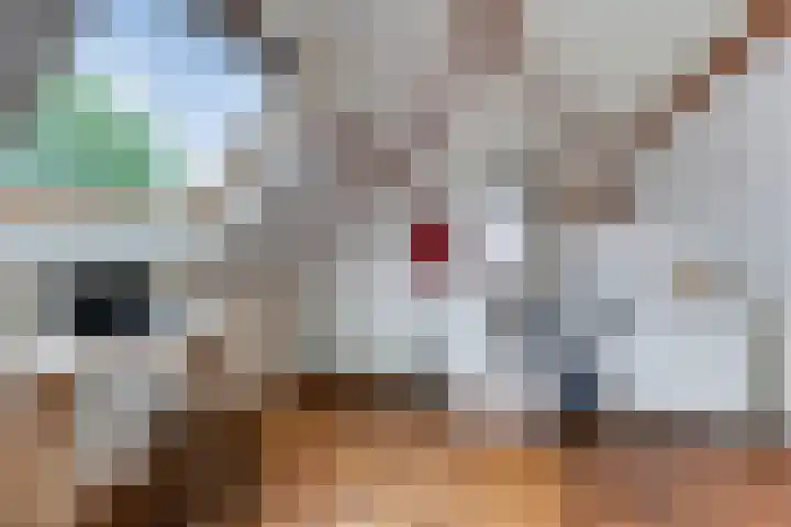 Hoge Rijndijk 28 Zoeterwoude thumbnail 70