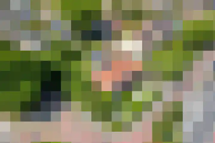 Hoge Rijndijk 28 Zoeterwoude thumbnail 75