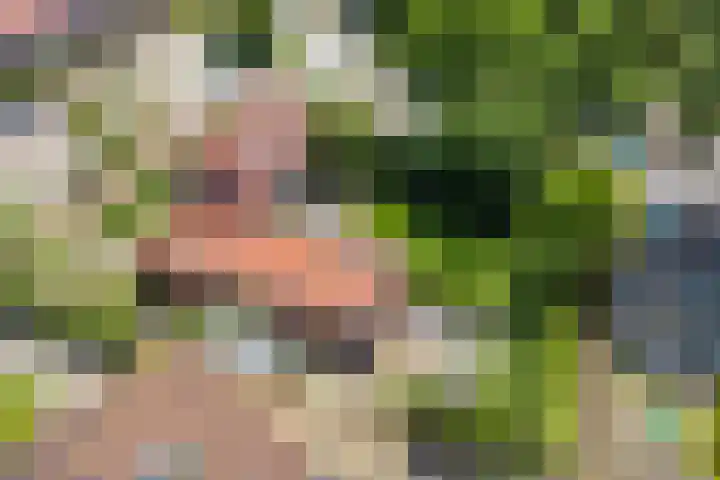 Hoge Rijndijk 28 Zoeterwoude thumbnail 76
