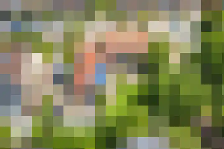 Hoge Rijndijk 28 Zoeterwoude thumbnail 77