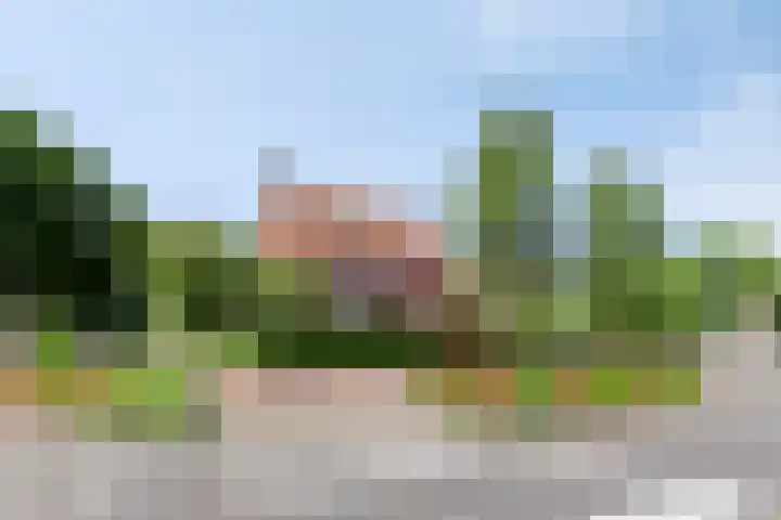 Hoge Rijndijk 28 Zoeterwoude thumbnail 79