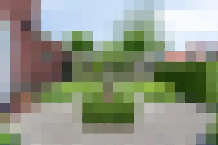 Hoge Rijndijk 28 Zoeterwoude thumbnail 8